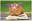 Tiny Tales to You Pic.jpg